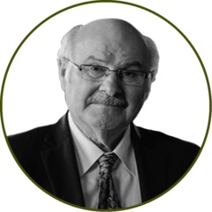 Mike Harcourt, Chairman