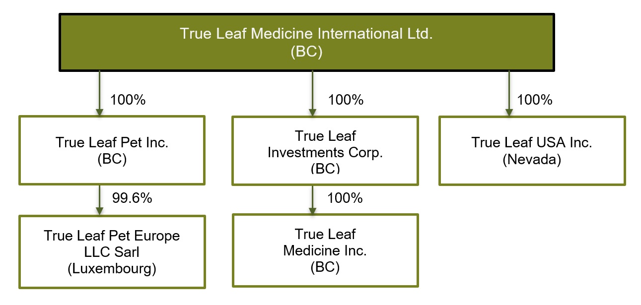 Corporate Structure