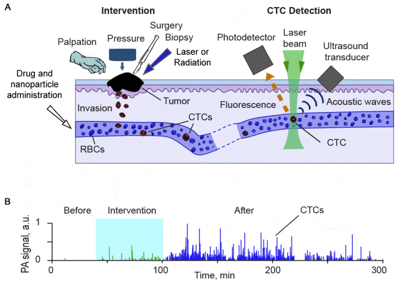 [cytoform1012g_022713apg003.gif]