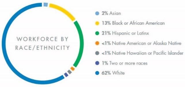 Workforce by Race - Ethnicity - 24.jpg