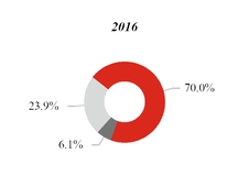 chart-2016revbysegment.jpg