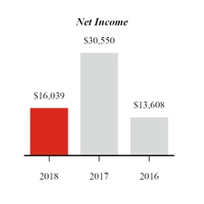 chart-netincome.jpg