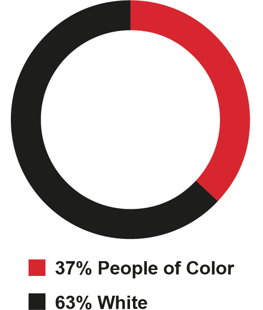 piepg16-pie_usworkforce.jpg