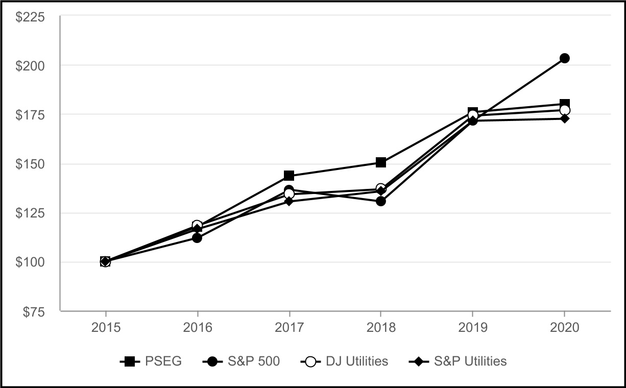 pseg-20201231_g4.jpg