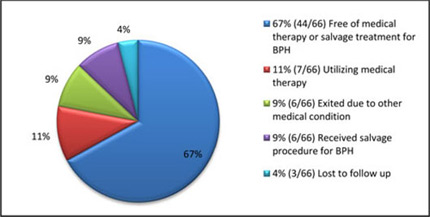 (PIE CHART)