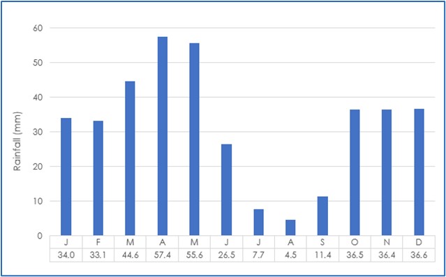 figure41.jpg