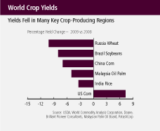 (BAR CHART)