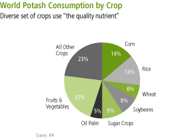 (PIE CHART)