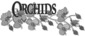 (ORCHIDS LOGO)