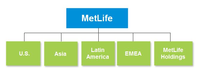 segmentorga01.jpg