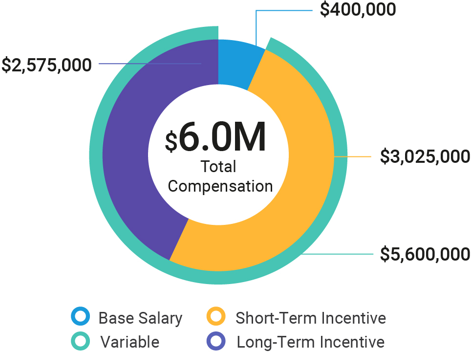 03_438515-1_pie_2024-compensation_pie_hogbin.jpg