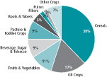 (PIE CHART)