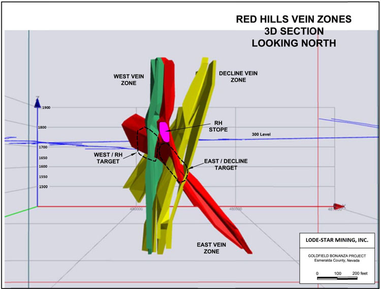 (3D Section of the Red Hills Vein Zones)