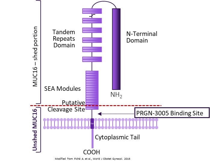 pgen-20201231_g10.jpg