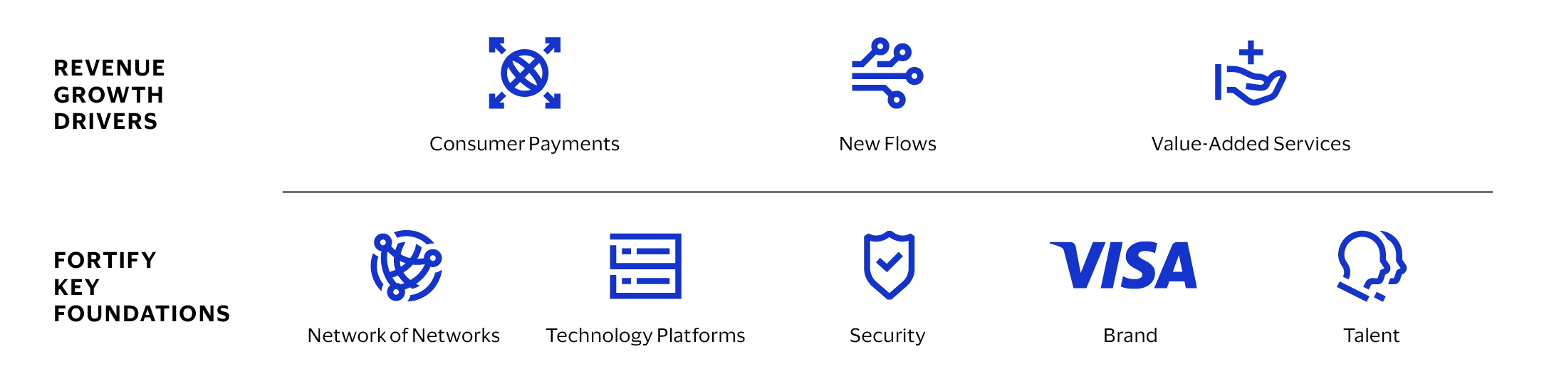 Visa-AR24_Business-section-stats_Our-Strategy-icons.jpg