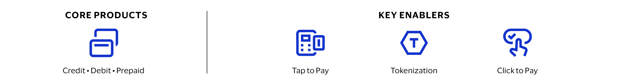 Visa-AR24_Business-section-stats_Consumer-Payments-icons.jpg