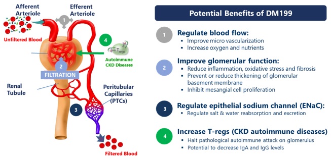 potentialbenefitsdm199.jpg