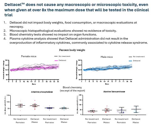 slide04.jpg