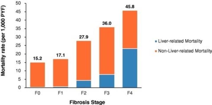 Chart, bar chart

Description automatically generated