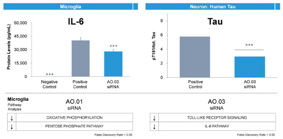 A picture containing bar chart

Description automatically generated