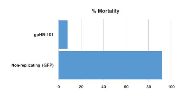 Graphic