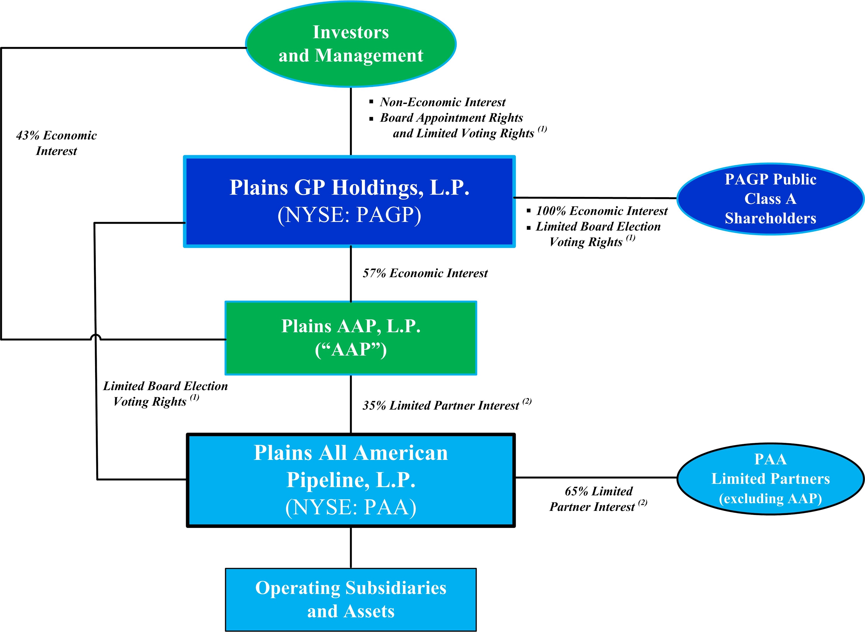 pagpsummarizedorgstructure.jpg