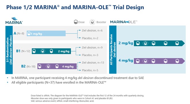 Phase 1 & 2 Marina and Mrina OLE Trial Design (Image 3).jpg