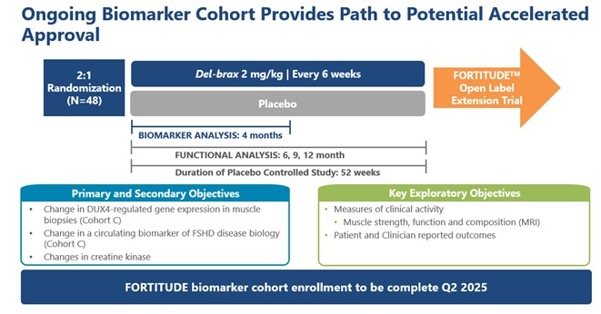 Ongoing Biomarker Cohort Provides Path to Potential Accelerated Approval (image 4).jpg