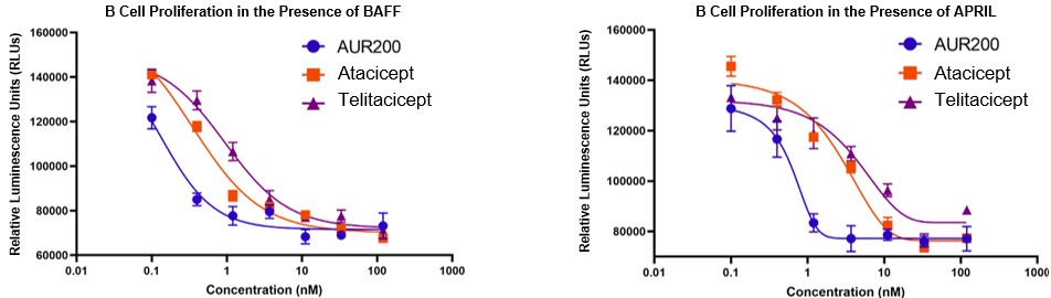 AUR200 potential inhibits BAFF.jpg