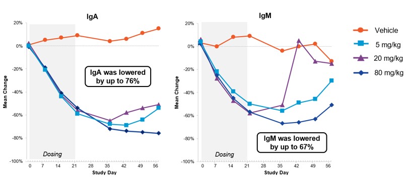 chart #2.jpg