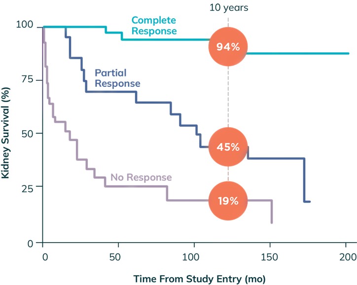 Kidney Survival.jpg