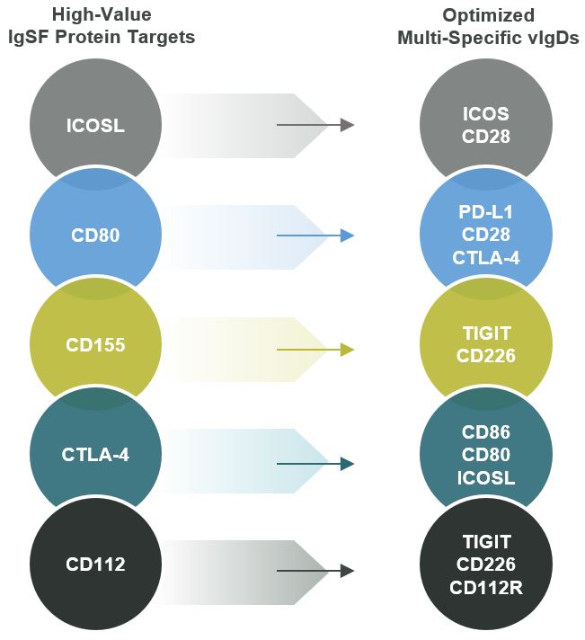 fig03.jpg