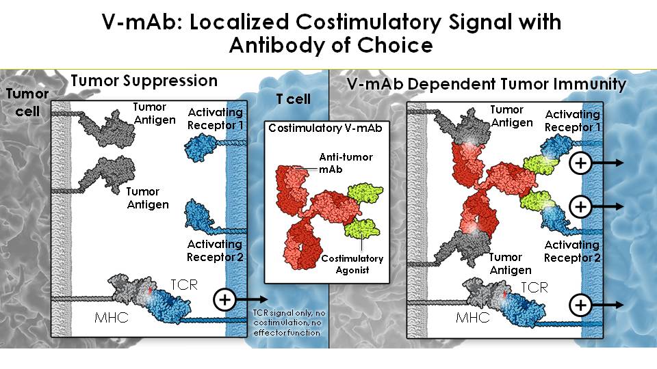 fig15.jpg