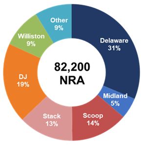 nrapiechart21020.jpg