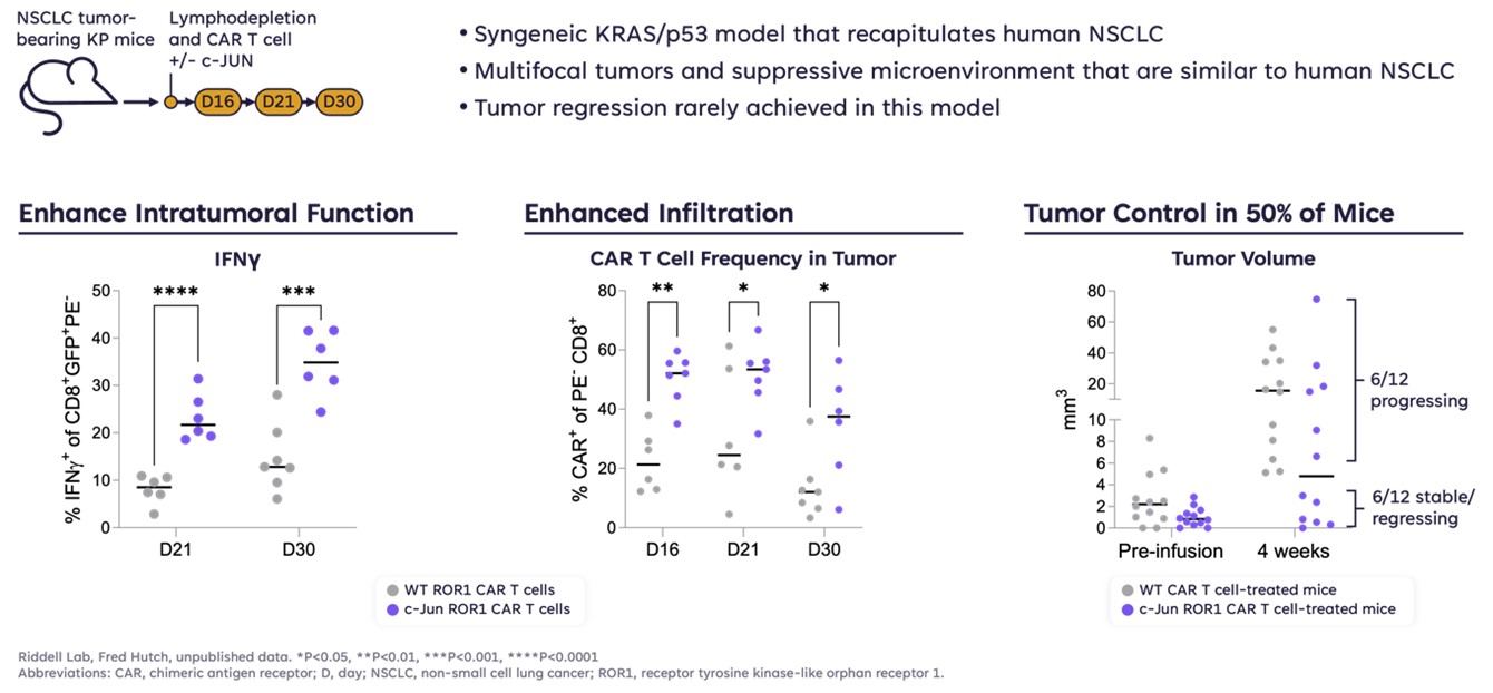 Figure 4.jpg