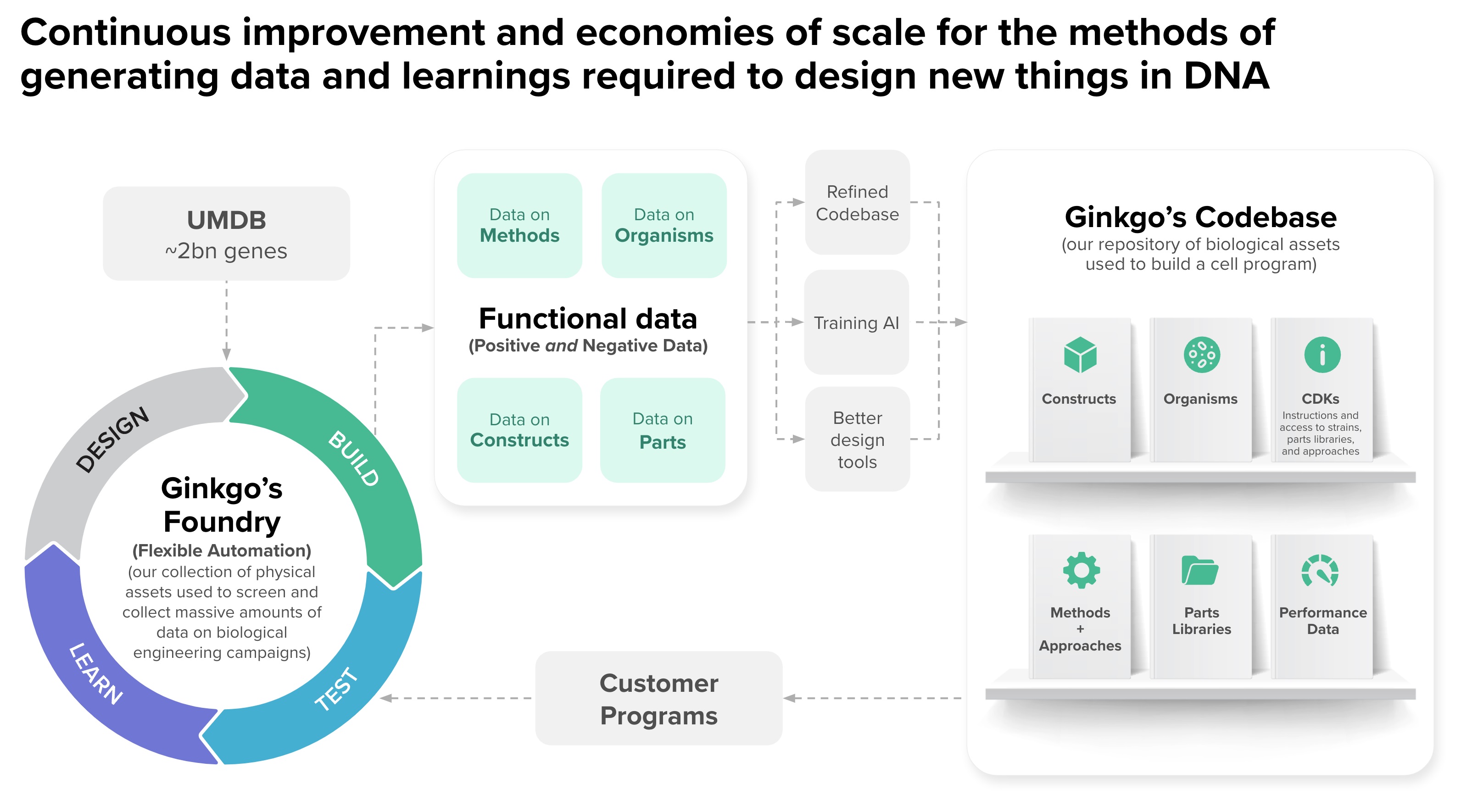 Codebase and our platform (1).jpg