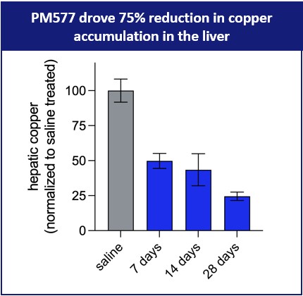 PM577 drove 75% reduction in copper accumulation in the liver.jpg