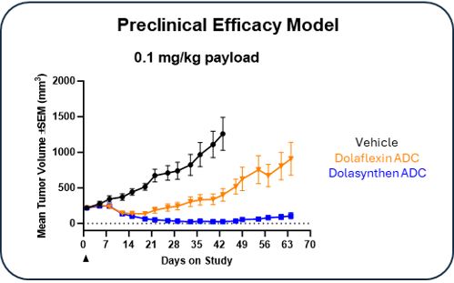 Preclin Efficacy Model.jpg