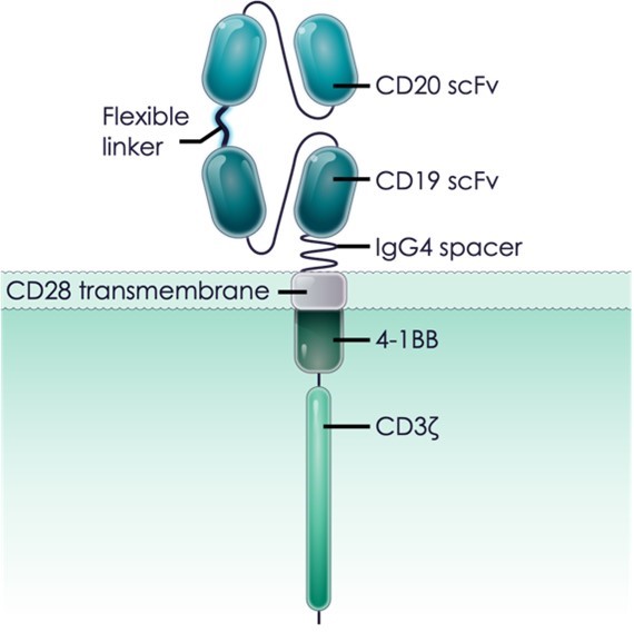 Figure1.jpg