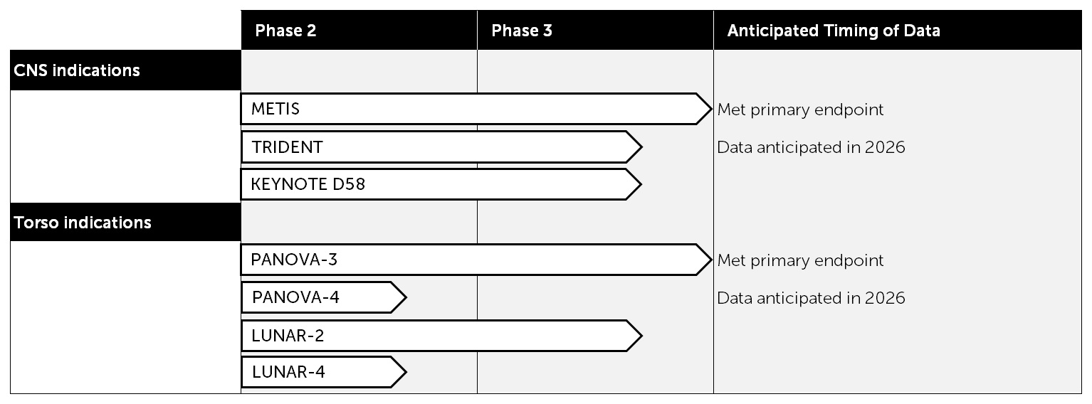 Q4 2024 Pipeline v4.jpg