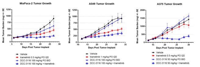 dcph-20191231_g23.jpg