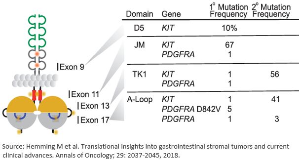 dcph-20191231_g4.jpg