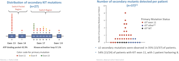 dcph-20191231_g5.jpg