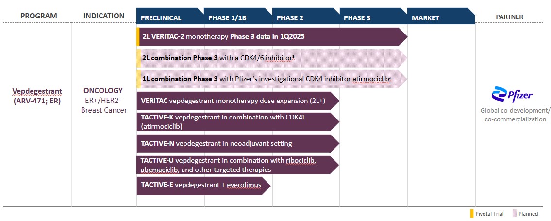 Vepdegestrant Pipeline Slide 2.10.25.jpg
