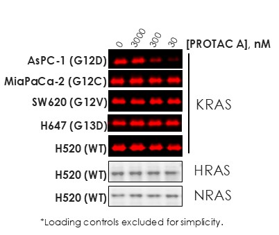 G12D selectivity_crop.jpg