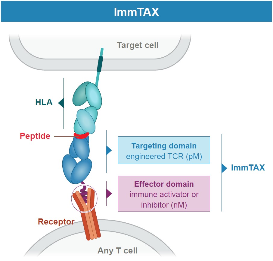 ImmTax.jpg