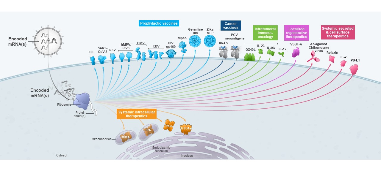 mrna-20201231_g20.jpg