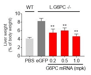 mrna-20201231_g43.gif