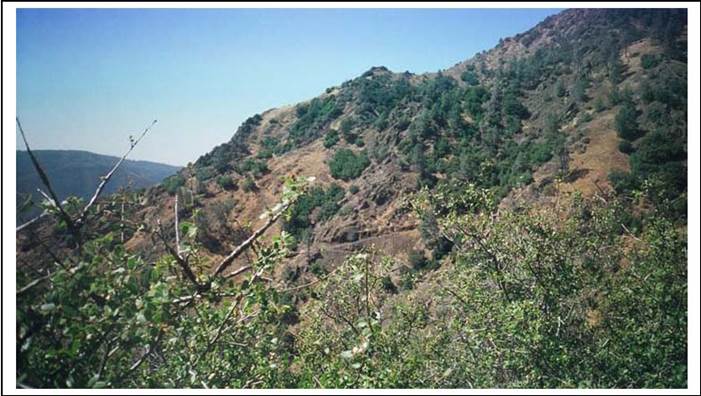 A view of a mountain with trees

Description automatically generated