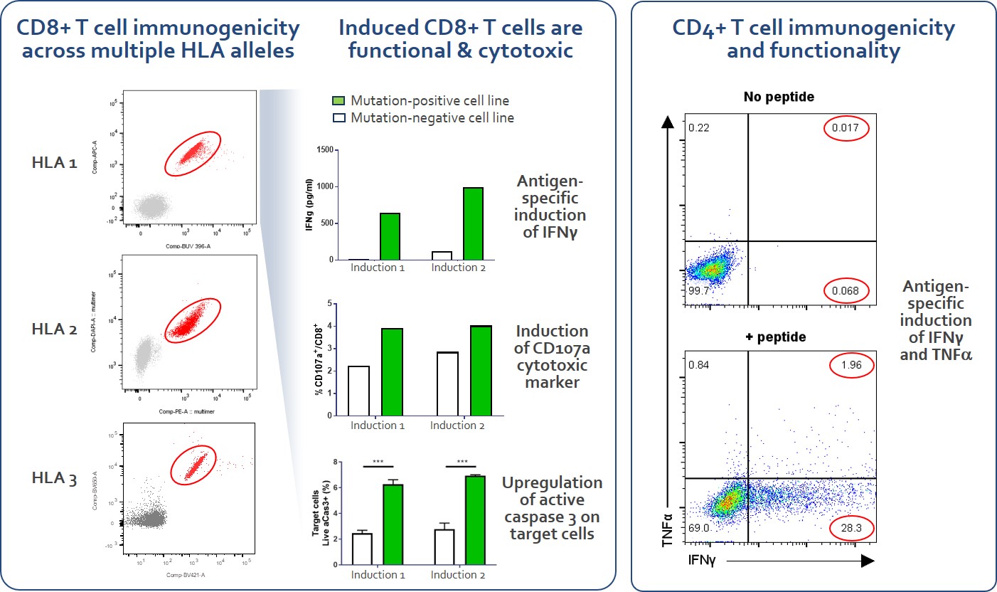 cd8andcd4inductiongraphic.jpg